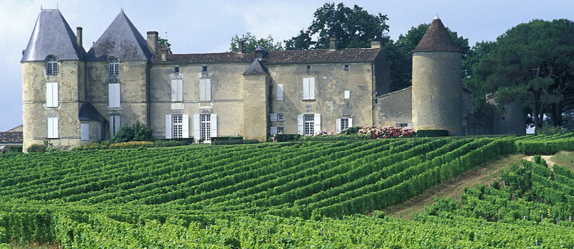 Vineyards of Bordeaux, Bordeaux, Nouvelle-Aquitaine, France